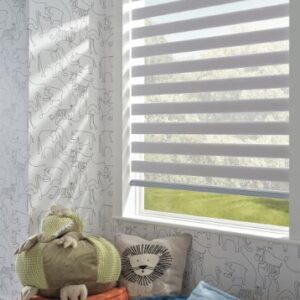 Zebra Blinds