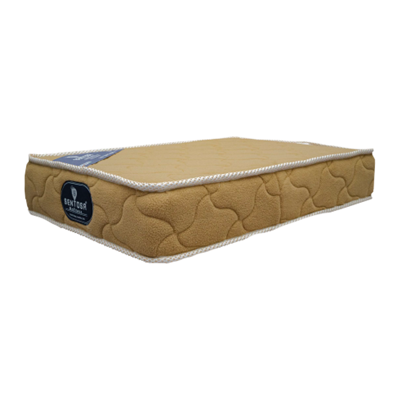 Spine Support (Back Support)