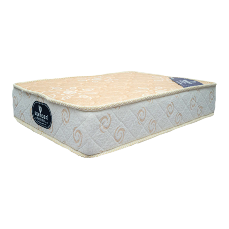 Orthotech (Extra Back Support)