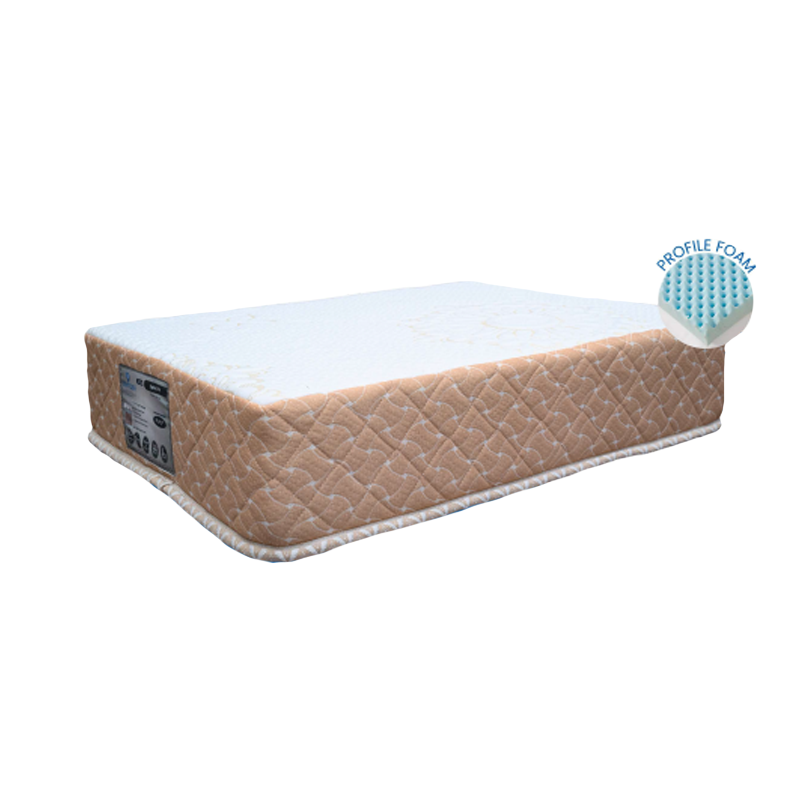 Spine Spa (Cares for Your Back)