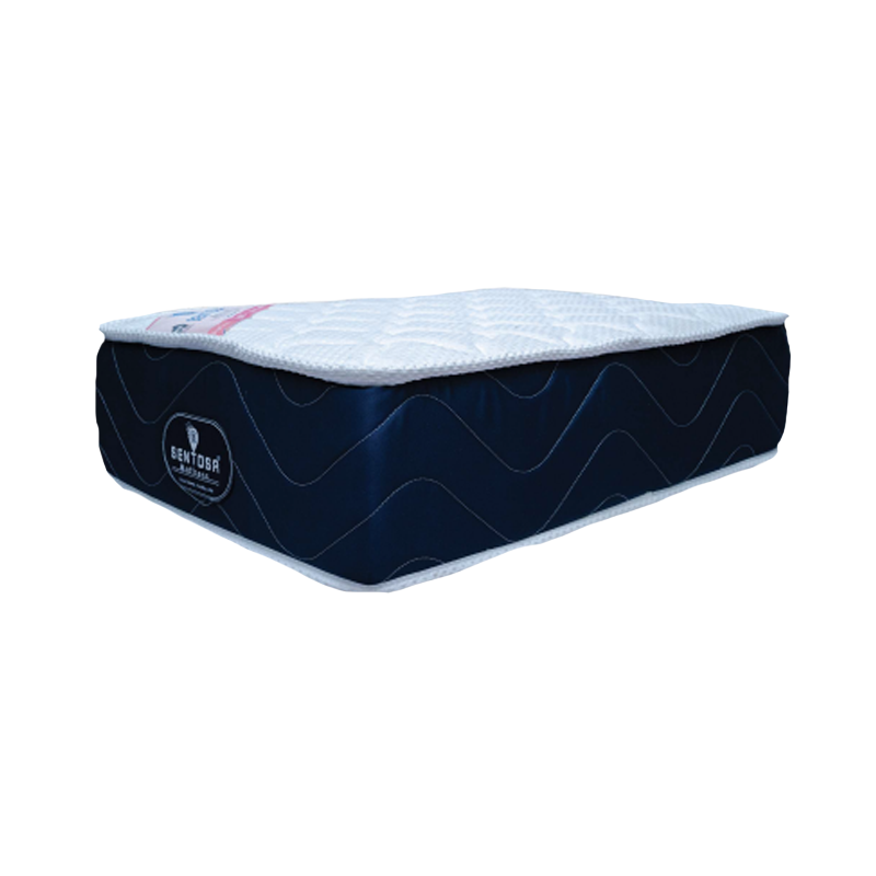 Spine Comfort (Back Specialist)