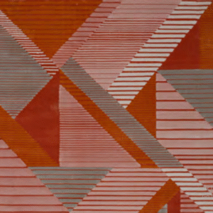 Charm Coral Red Rug